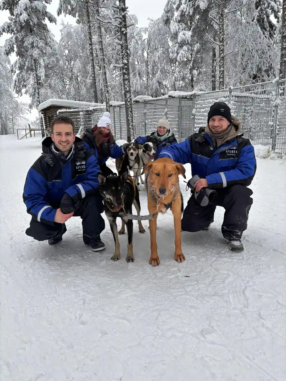Four people crouching with three sled dogs in snow