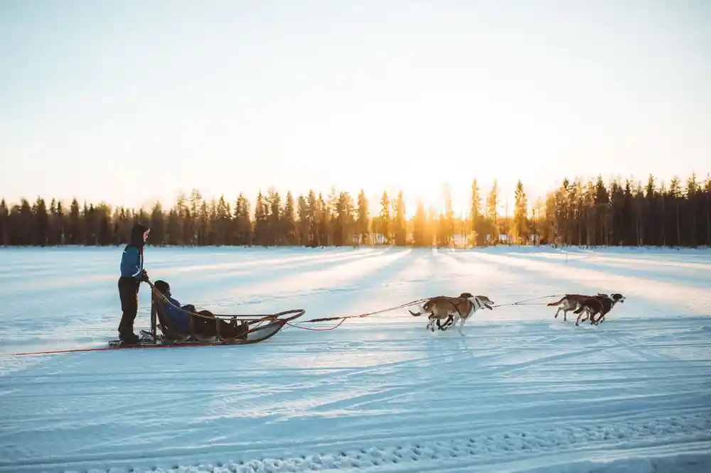 Musher with sled team on frozen lake at sunset