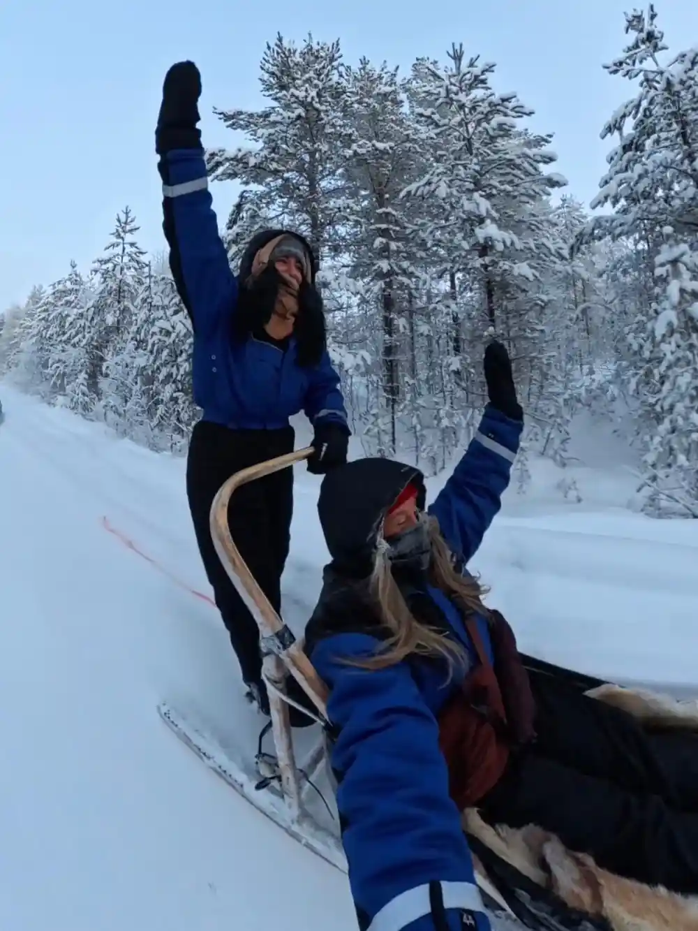 Person sledding behind husky in snowy forest