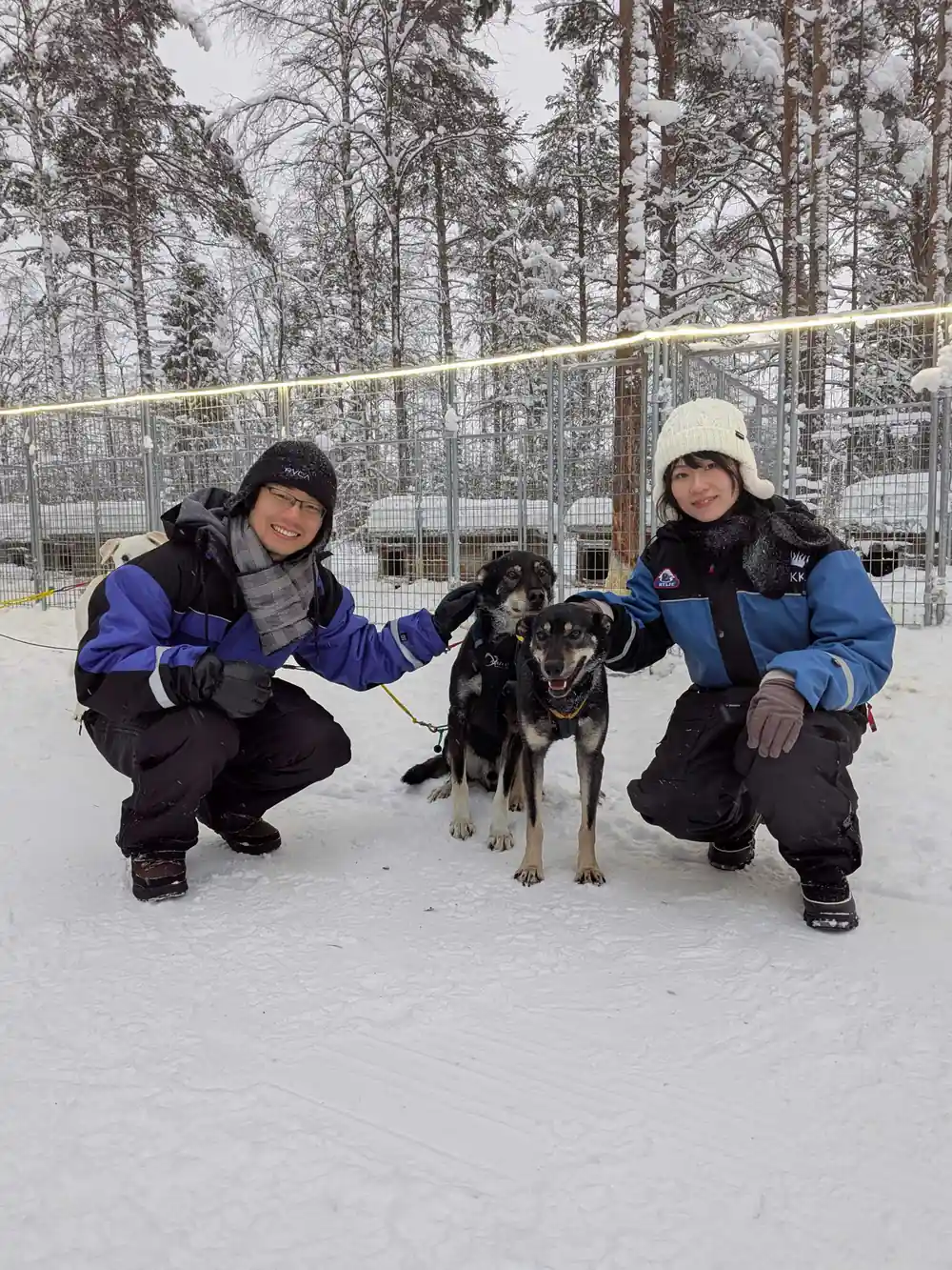 Two people crouching with black and white sled dog