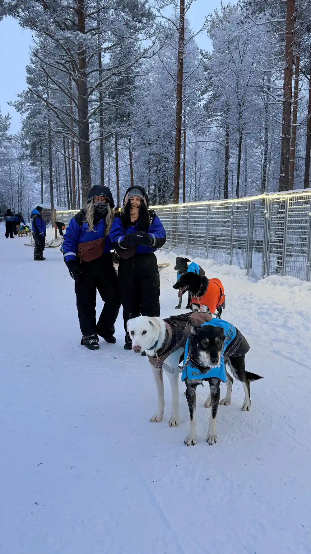 Two people walking with sled dogs in snowy landscape