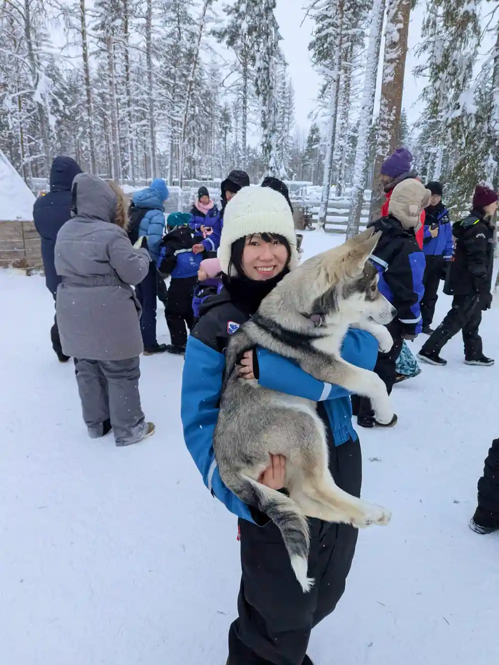 Woman holding husky dog with group in snowy forest